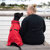 Canada Pooch Complete Coverage Dog Rain ...: Picture 5 thumbnail